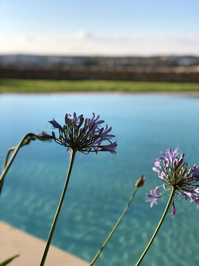 Sunset Oasis L-Imgarr Exterior foto
